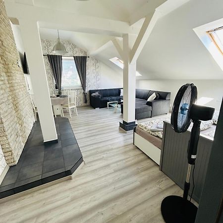 Apartman Theresa Decin Zewnętrze zdjęcie