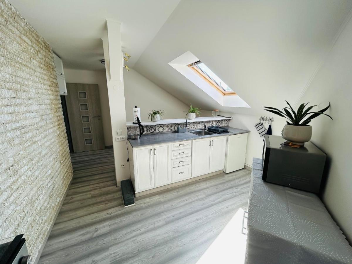 Apartman Theresa Decin Zewnętrze zdjęcie